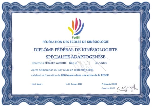diplôme-certificat-kinesiologue-toulouse